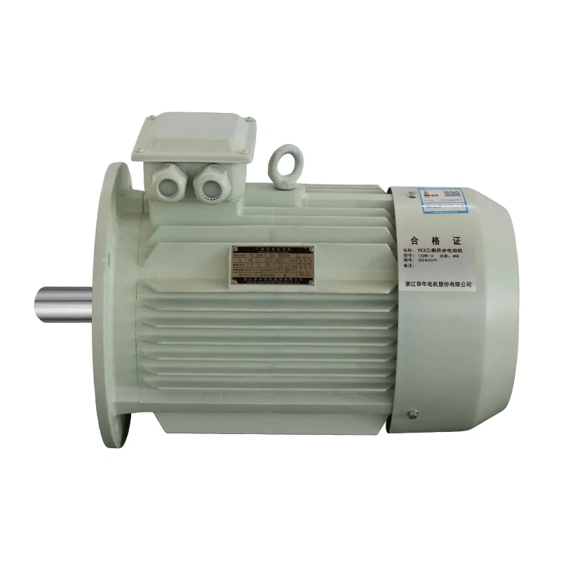 220v induction motor 220v induction motor